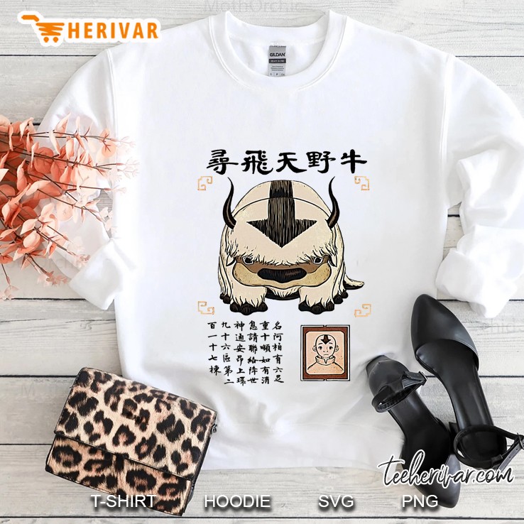Appas Avatar The Last Airbender Sweatshirt
