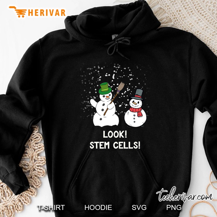 Funny Biologist Christmas Gift Science Snowman Stem Cells Hoodie
