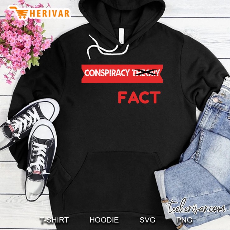 Conspiracy Theory Crossed Out Fact Hoodie