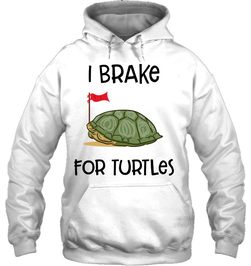 Reptile tortoise Hooded Sweatshirt 