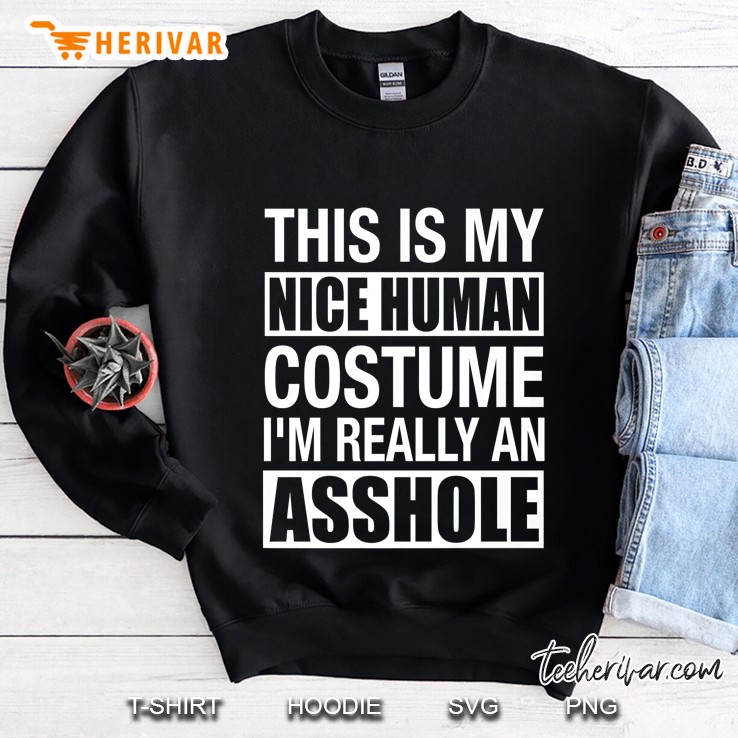 Funny Adult Humor Halloween Nice Human Costume Asshole Gifts Premium Sweatshirt