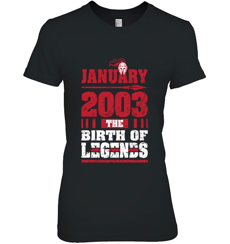 2003 The Birth Of Legends Funny Gift For 19 Yrs Years Old Hoodie