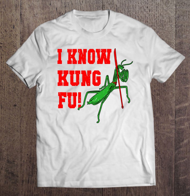 I Know Kung Fu Funny Kung Fu T-Shirts, Hoodies, SVG & PNG | TeeHerivar
