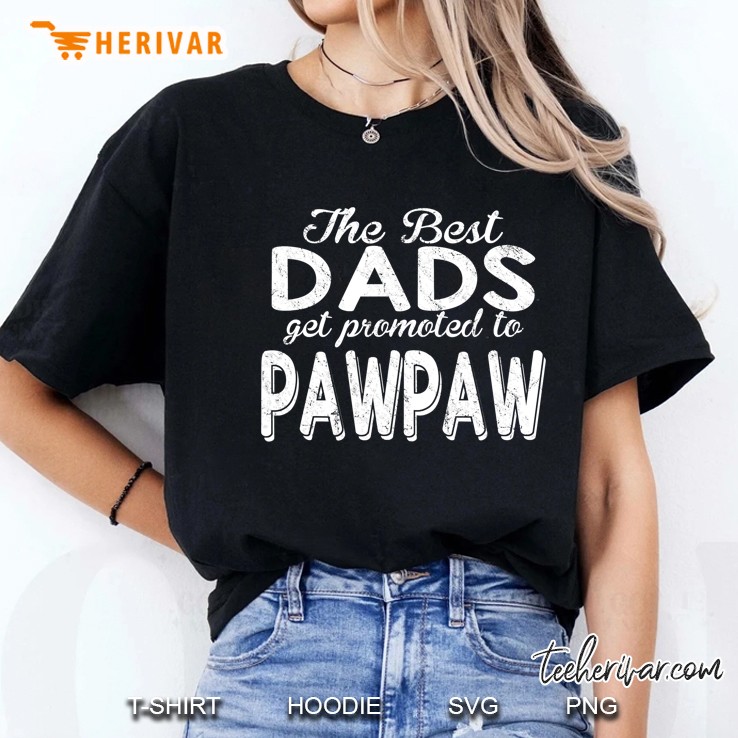 Papa Pops Parent Hero The Best Dads Get Promoted To Pawpaw Ladies Tee