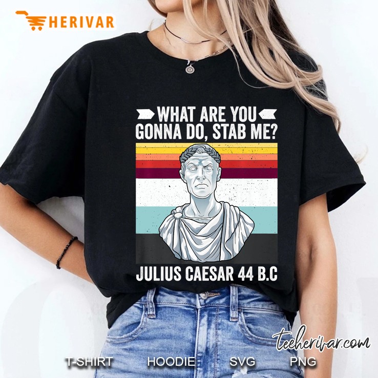 Vintage What Are You Gonna Do Stab Me Julius Caesar Funny Premium Ladies Tee