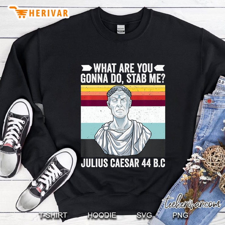 Vintage What Are You Gonna Do Stab Me Julius Caesar Funny Premium Sweatshirt